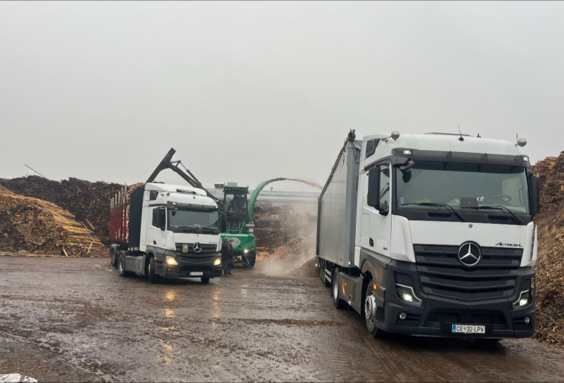 Ugoden prevoz hlodovine po Sloveniji