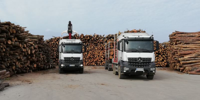 Transport hlodovine po Sloveniji