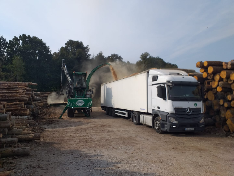 Prevoznik za hlodovino po Sloveniji