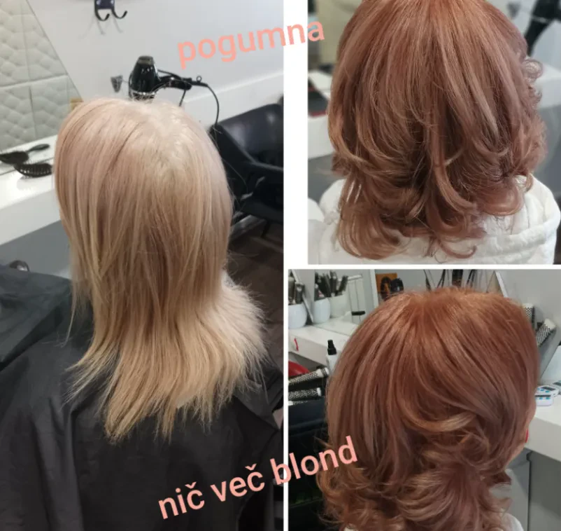 Poceni barvanje las Štajerska