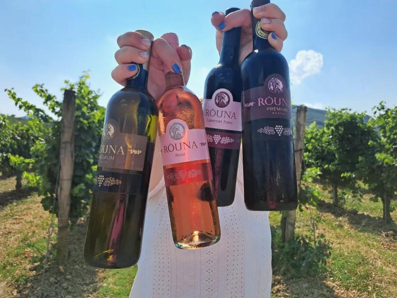 Vinogradniška kmetija Goriška