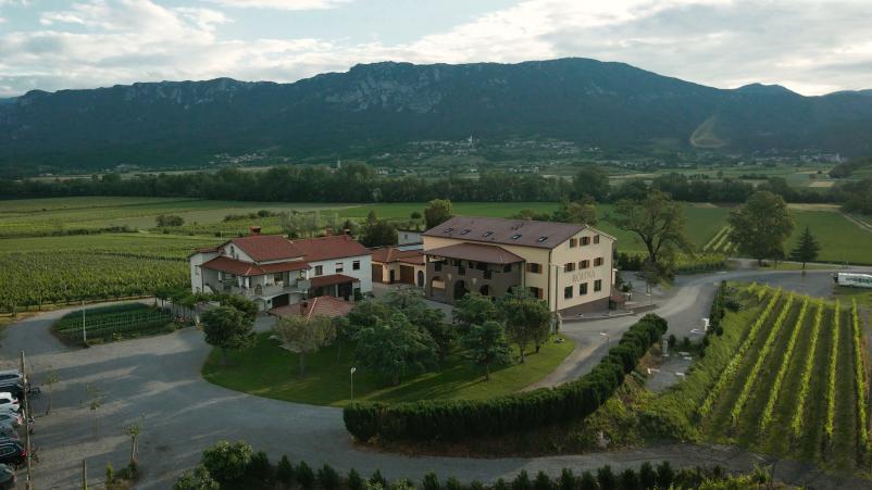 Vipavska vina Goriška 