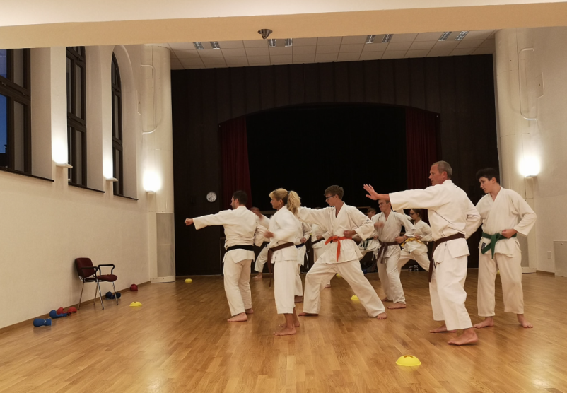Cena za vpis otrok v karate klub osrednjeslovenska