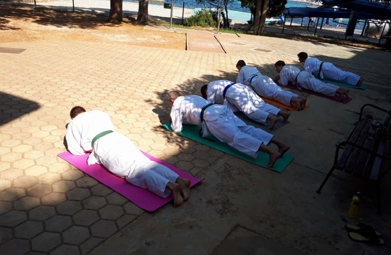 Vpis otrok v karate klub Logatec