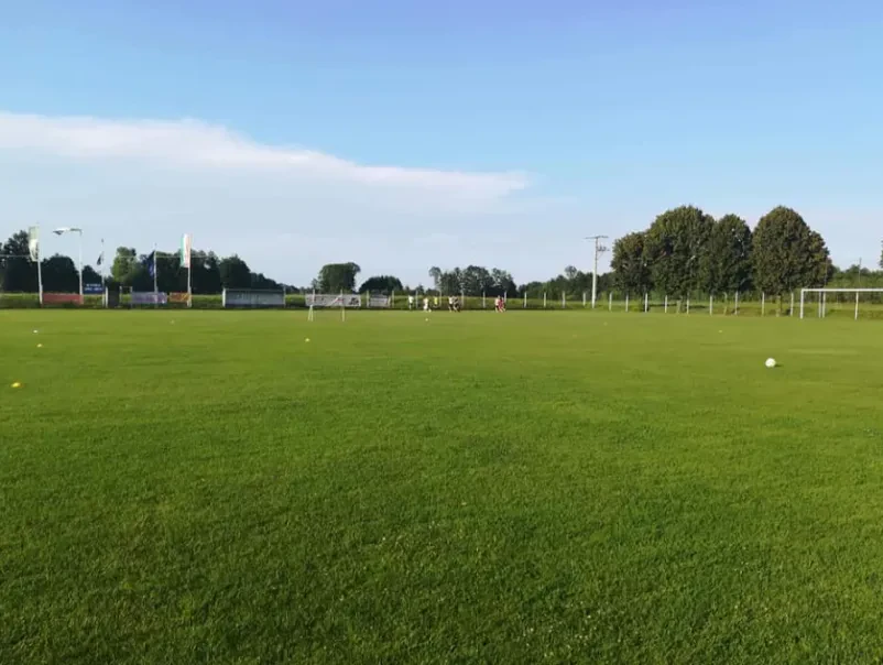Vpis v NK Panonija