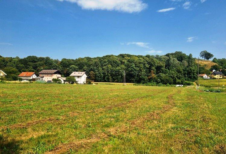 Agencija za vrednotenje in prodaja nepremičnin Štajerska