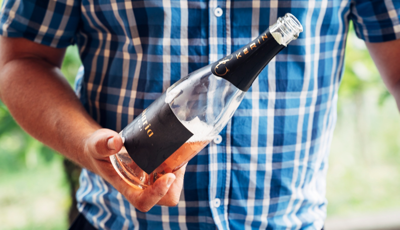 Vrhunska vina Dolenjska