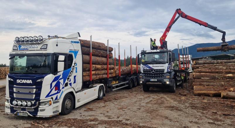 Prodaja rezanega lesa Šoštanj