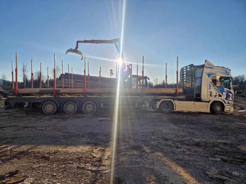 Žaganje lesa po naročilu Šoštanj