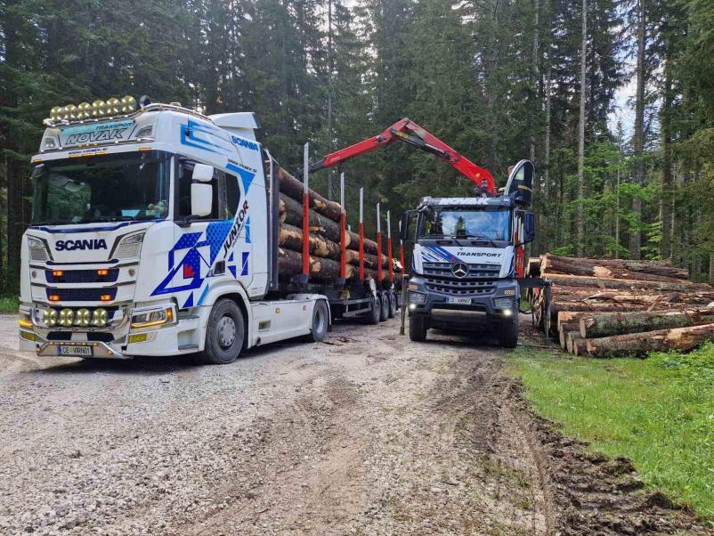 Razrez hlodovine Šoštanj