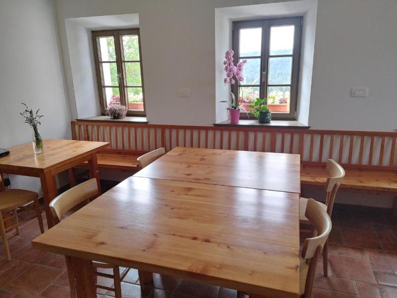 Accommodation and activities in nature Žiri