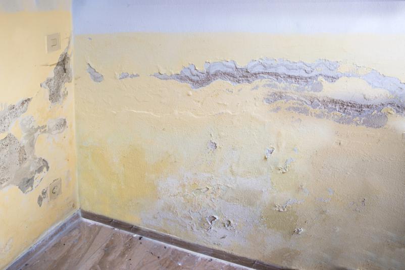 Ugodne adaptacije objektov Ljubljana