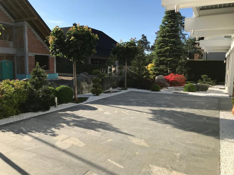 Čiščenje listja Radomlje, Slovenija
