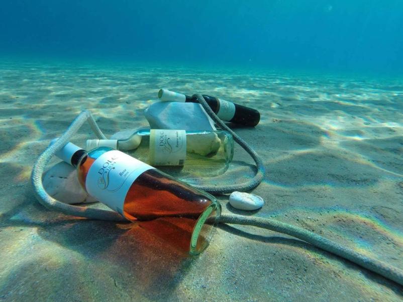 Pokušina domačih vin Dolenjska