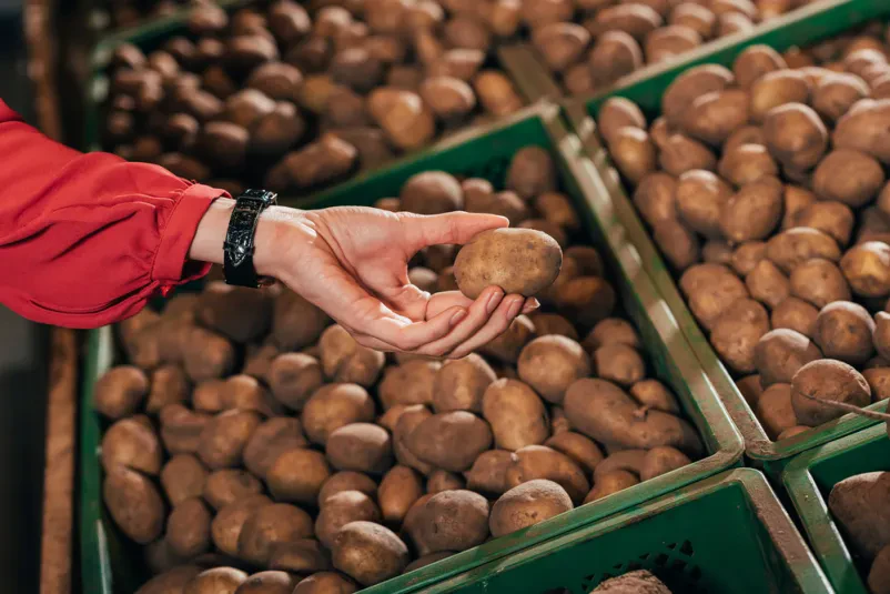 Retail and wholesale of instant potato products Slovenia