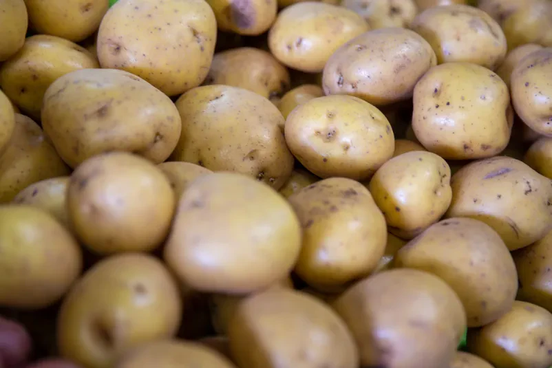 Vegan Potato Cheese Slovenia