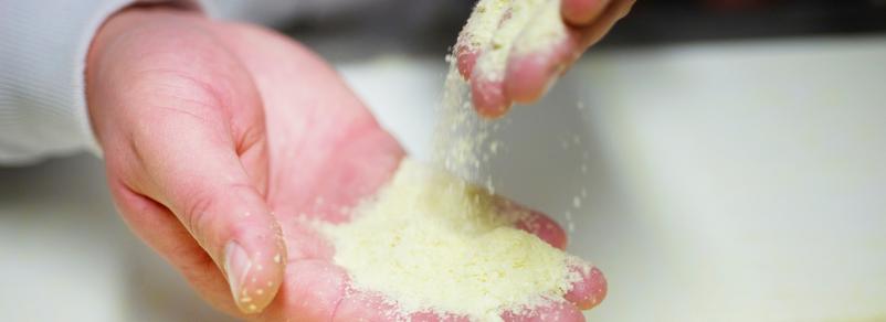 Dehydration of potato products Slovenia