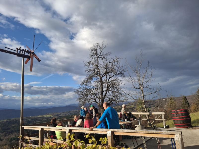 Predstavitve in pokušine vin Dolenjska