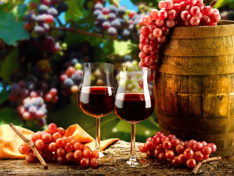 Kvalitetna vina Vipava