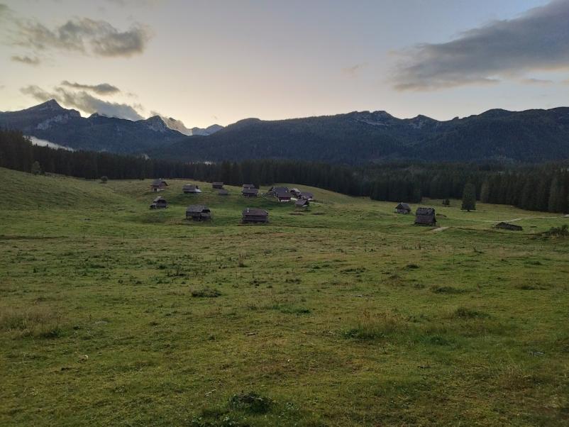 Pridelava domačega sira Bohinj, Gorenjska