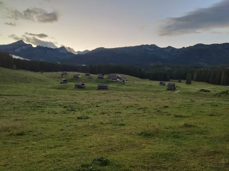 Pridelava domačega sira Bohinj, Gorenjska