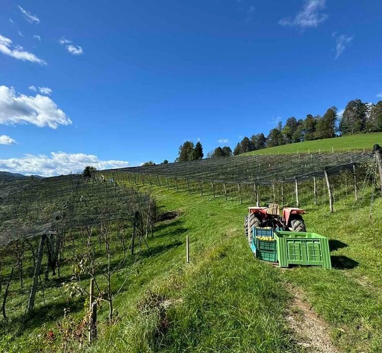 Good tourist farm Žiri