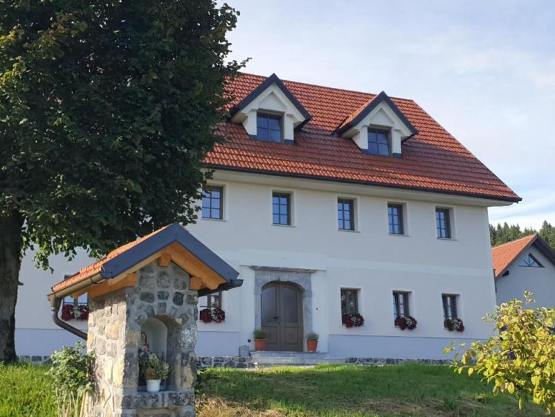 Renting space for private parties Žiri