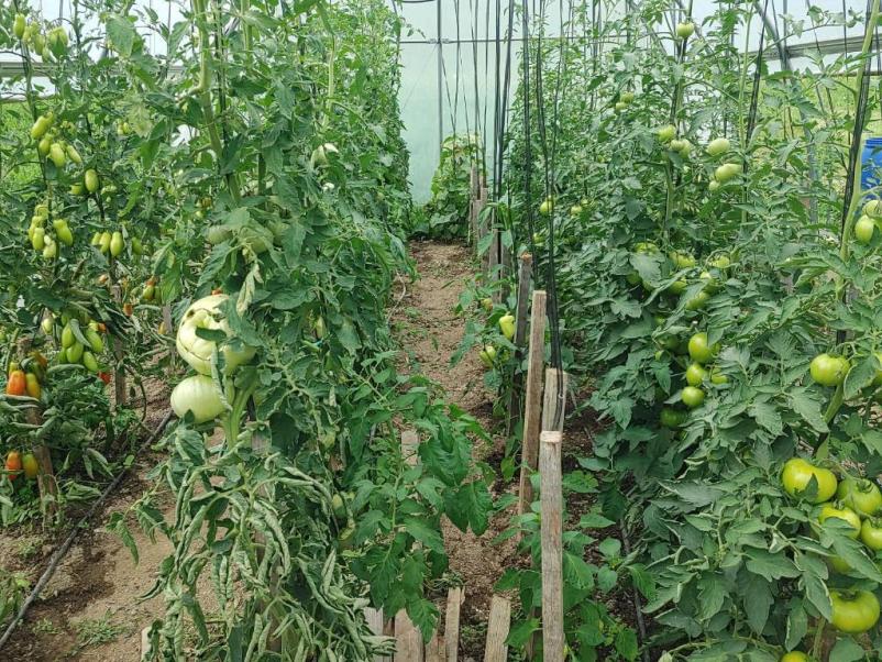 Affordable accommodation in Žiri