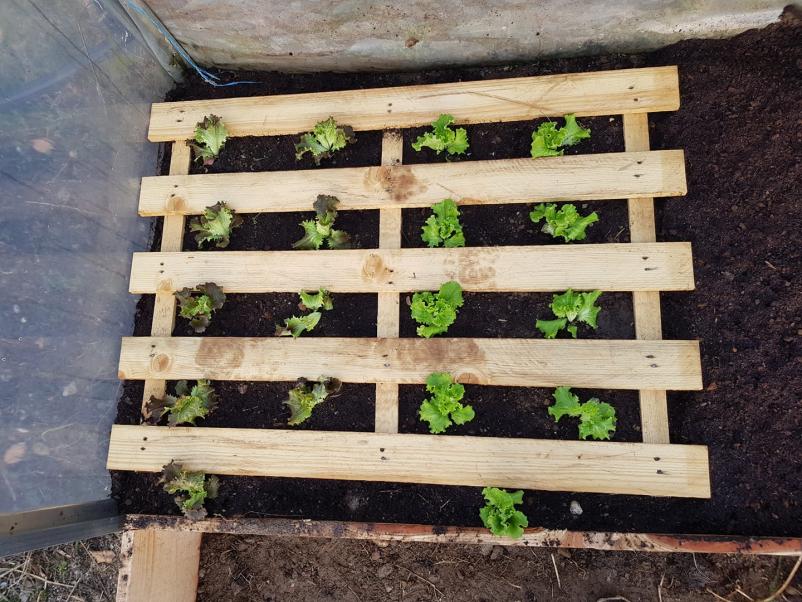 Kakovostne palete in lesena embalaža Cerkno