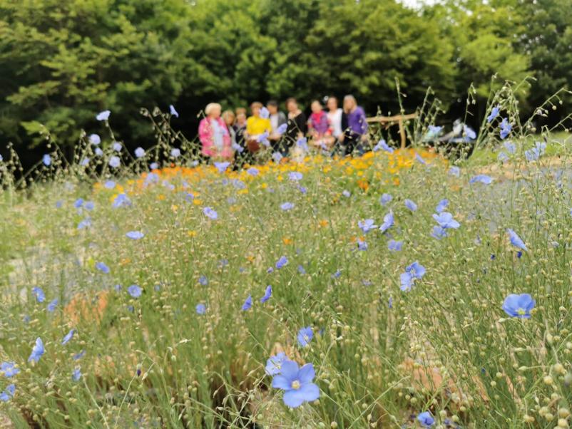 Izobraževanja za odrasle Murska Sobota, Prekmurje