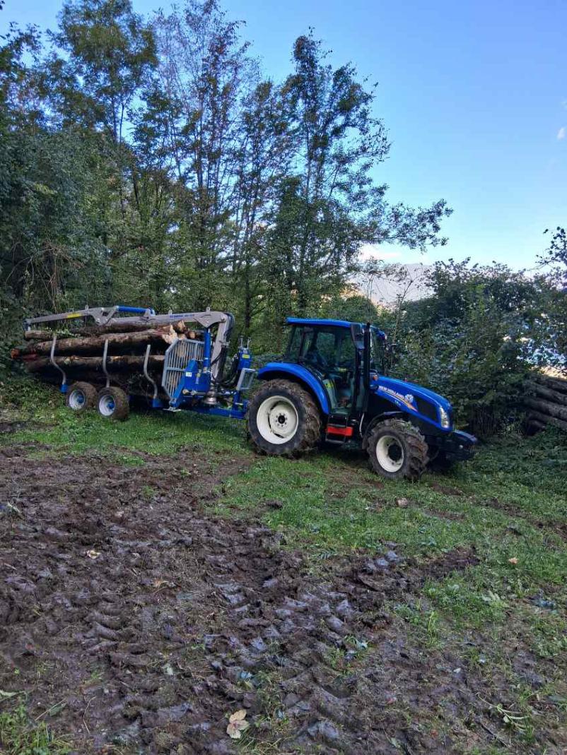 Sečnja, spravilo, odvoz lesa Tolmin, Primorska