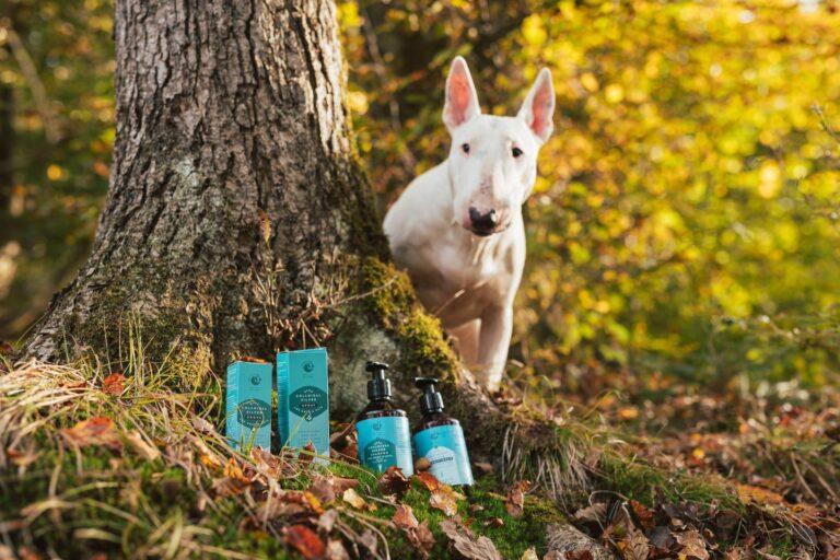 Nakup pasje hrane na veterini Ljubljana
