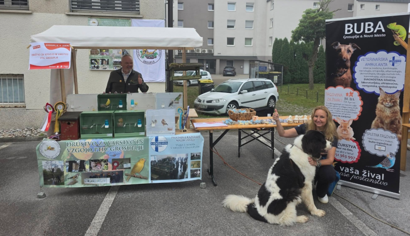 Velika ponudba hrane za pse Ljubljana