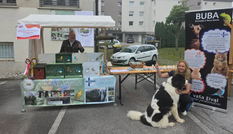 Velika ponudba hrane za pse Ljubljana
