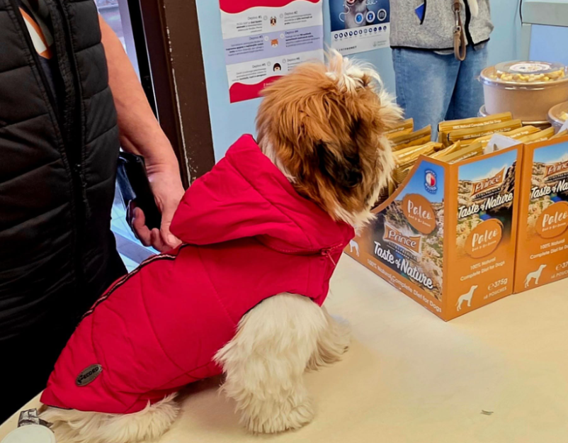 Dobra pasja hrana Ljubljana