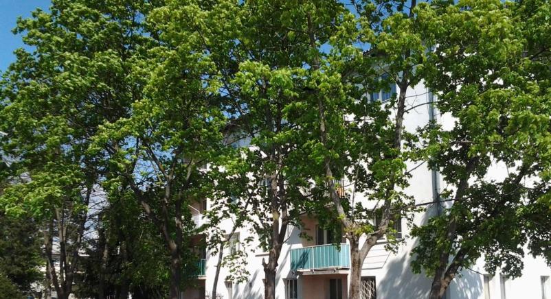 Urejanje zunanje okolice Savinjska