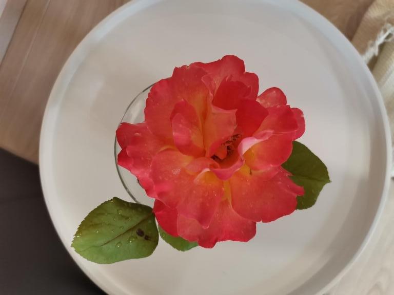 Družinski apartma v Bovcu