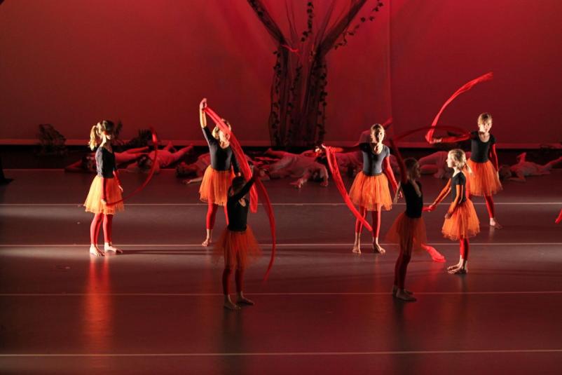 Prvi koraki v svet plesa