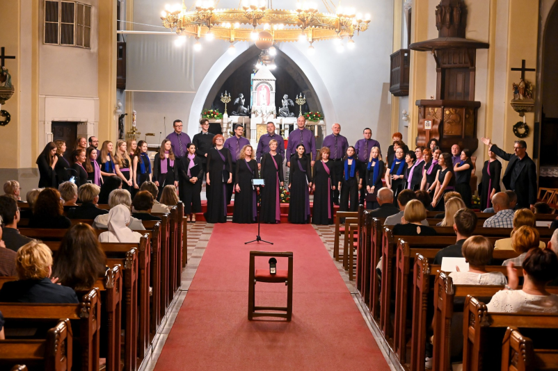 Mepz Štefana Kovača Murska Sobota