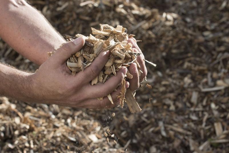 Sekanci, drva in biomasa Savinjska