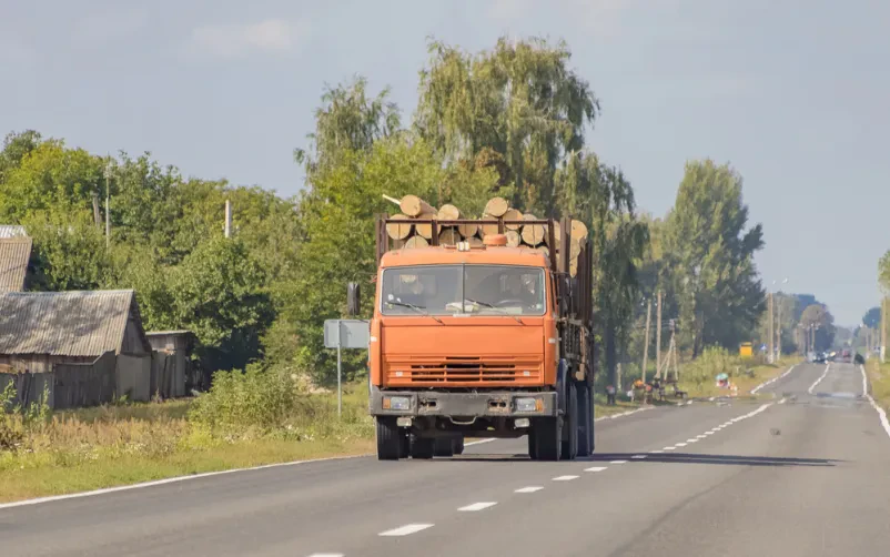 Odkup in transport hlodovine Žalec, Savinjska