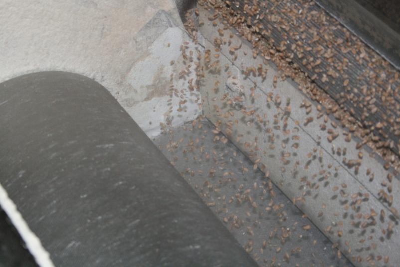 Ogled mlina Šmarješke toplice, Otočec, Dolenjska