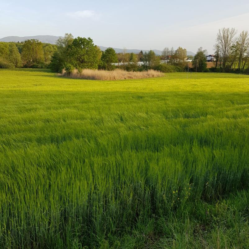 Mini sejem kmečkih dobrot Šmarješke toplice, Otočec, Dolenjska