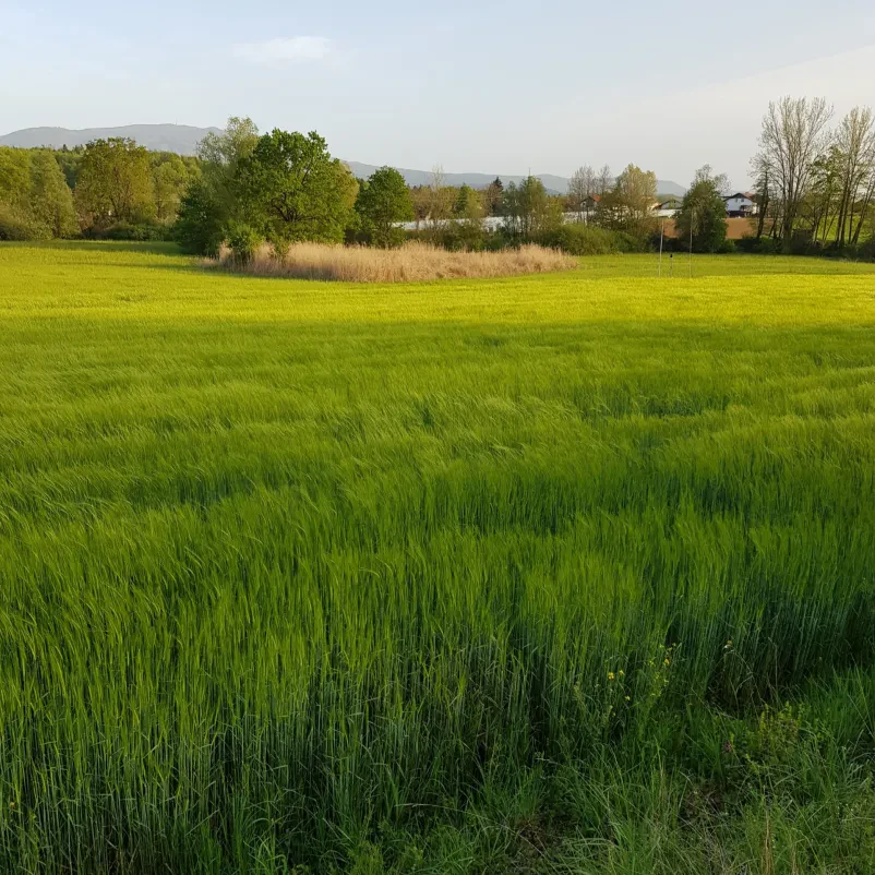 Mini sejem kmečkih dobrot Šmarješke toplice, Otočec, Dolenjska