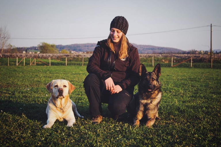 Center za pasji trening Grosuplje