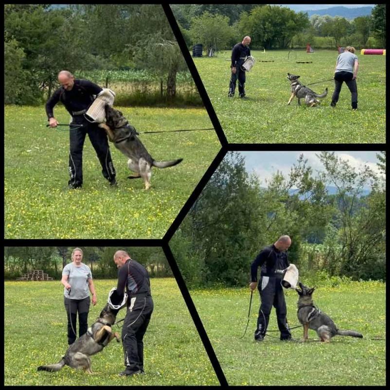 Dobra pasja šola Turjak, Grosuplje