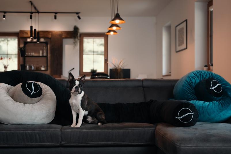 Podporna blazina s spominsko peno Slovenija