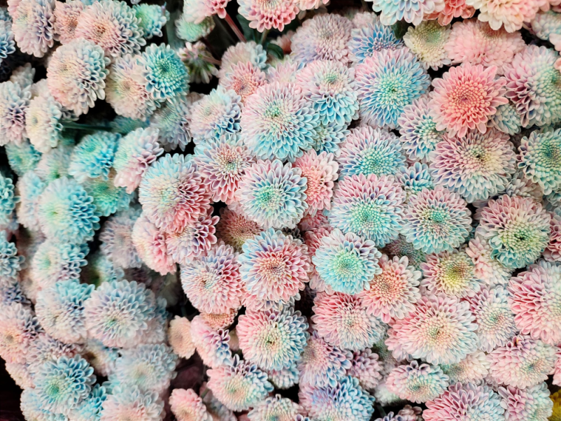 Veleprodaja poročnega cvetja