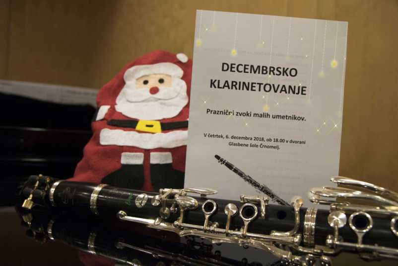 Poučevanje glasbe in inštrumentov Bela krajina