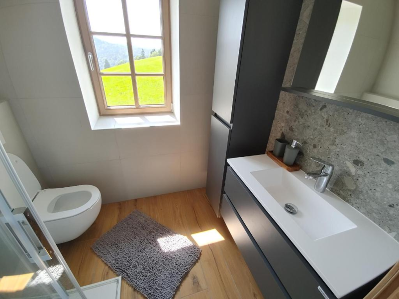 Ugodna nočitev Žiri, okolica